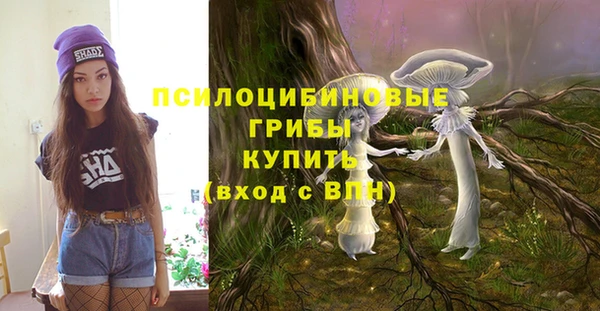 прущие крисы Арсеньев