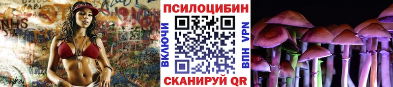 ОМГ ОМГ ссылки  Бакал  Псилоцибиновые грибы прущие грибы  даркнет сайт 